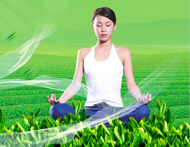 托福成绩单假的多少钱